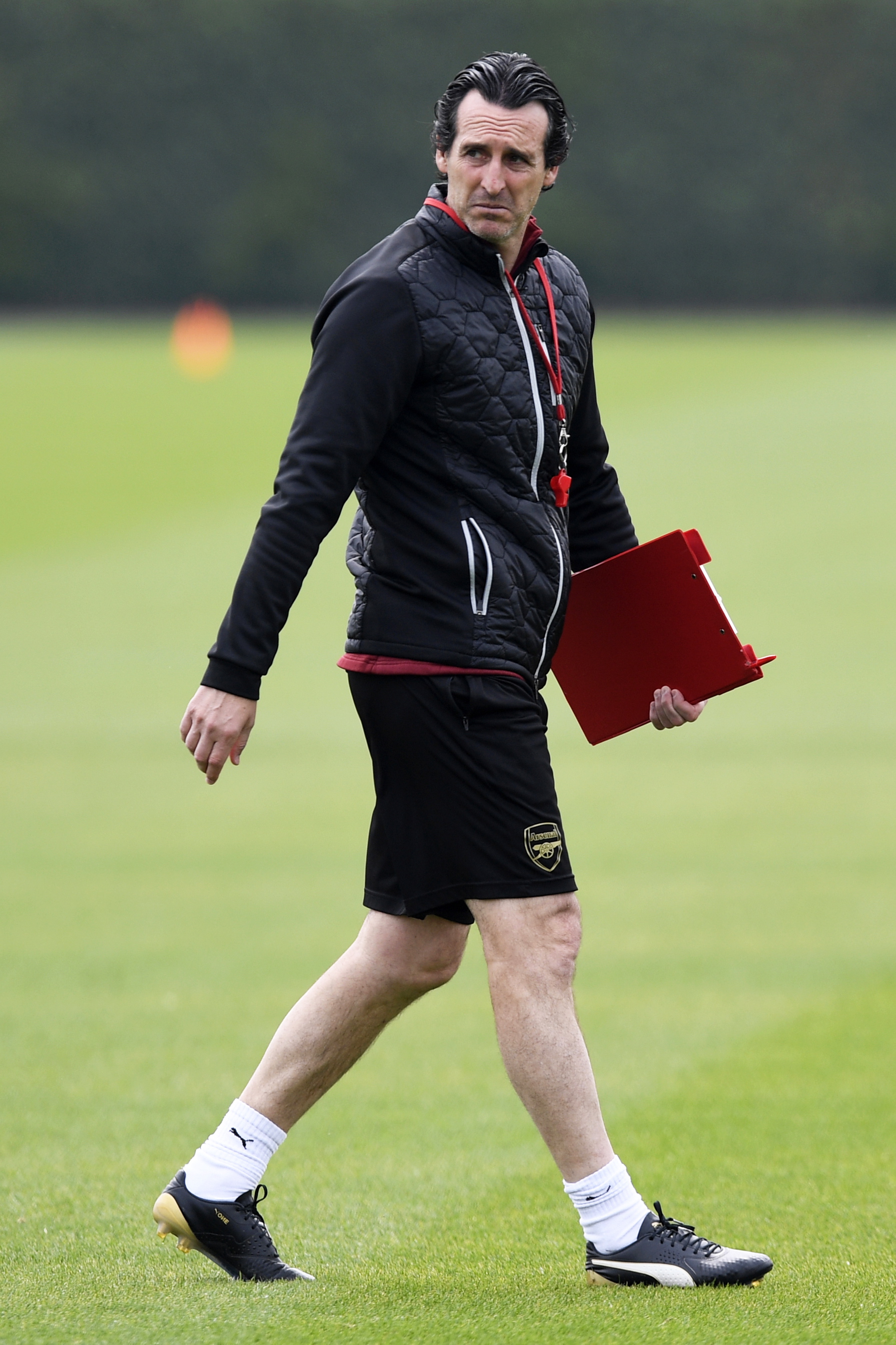 占比提升可 占比提升可